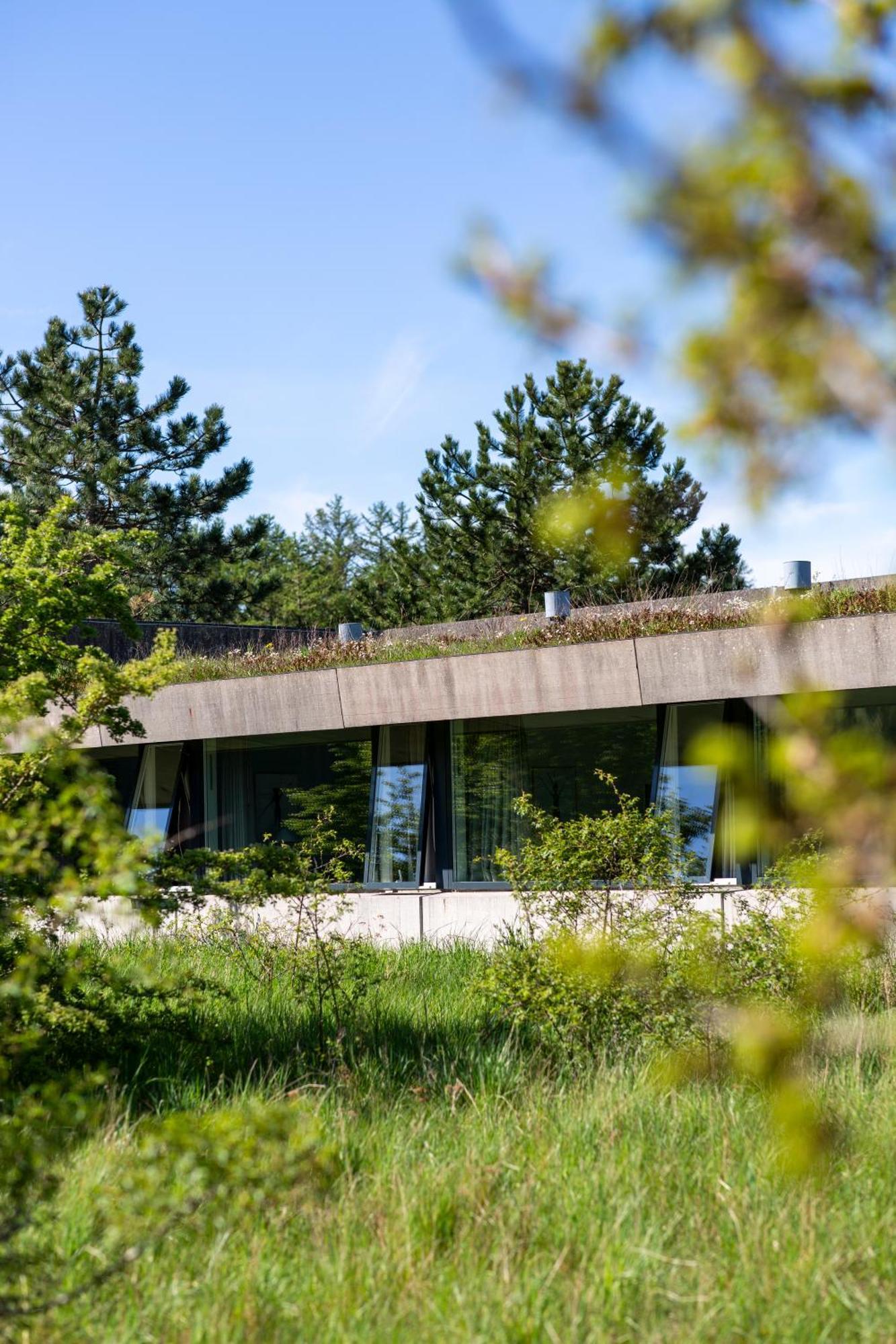 Hotel Toppen Af Ebeltoft Kültér fotó